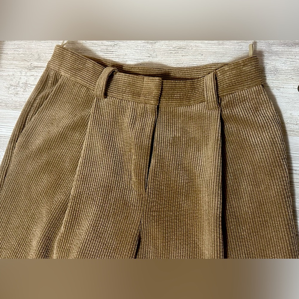 velvet pants .
